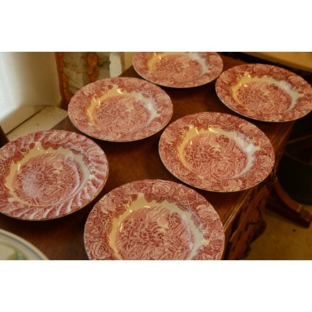 (n-2445/4) Woods Ware Enoch Woods English Scenery, supi-pastataldrikud, 6tk