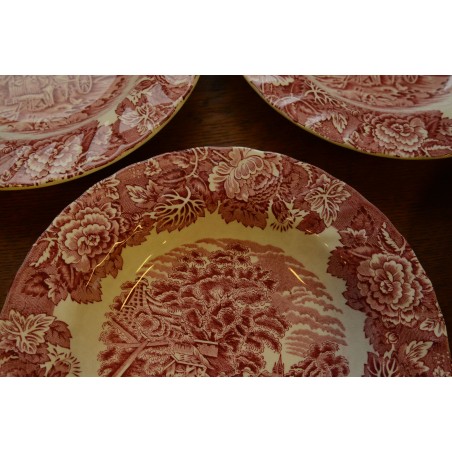 (n-2445/4) Woods Ware Enoch Woods English Scenery, supi-pastataldrikud, 6tk