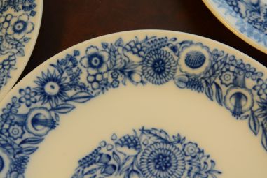 (n-2661) Schönwald, salatitaldrikud, 8tk