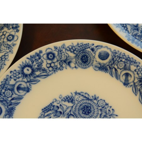 (n-2661) Schönwald, salatitaldrikud, 8tk