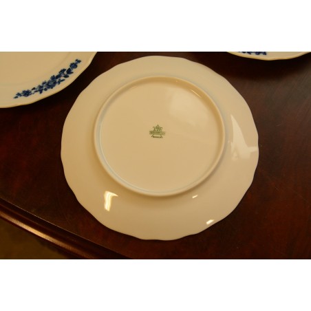 (n-2847) Bavaria Tirschenreuth, salatitaldrikud, 6tk