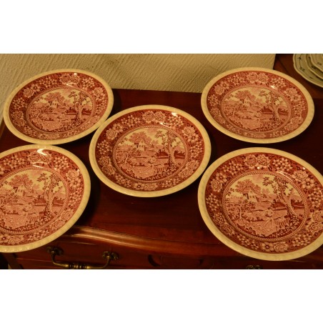 (n-3439/16) Villeroy&Boch Rusticana  salatitaldrikud, 5tk,