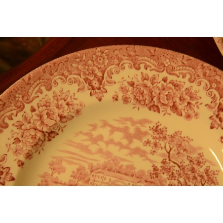 (n-3553) English Ironstone tableware salatitaldrikud, 6tk