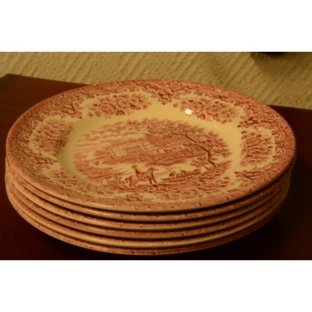 (n-3553) English Ironstone tableware salatitaldrikud, 6tk