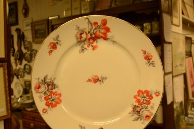 (n-3556/2) K&A Bavaria Krautheim, salatitaldrikud, 5tk