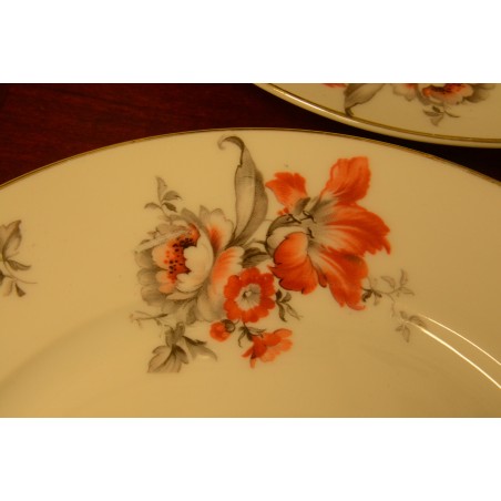 (n-3556/2) K&A Bavaria Krautheim, salatitaldrikud, 5tk