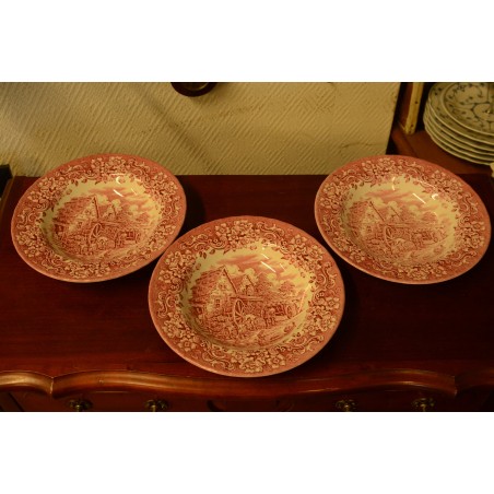 (n-3843) Royal Tudor Ware "17 Century England", supi-pastataldrikud, 3tk