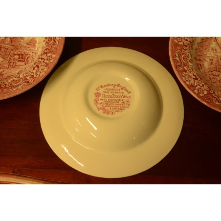 (n-3843) Royal Tudor Ware "17 Century England", supi-pastataldrikud, 3tk