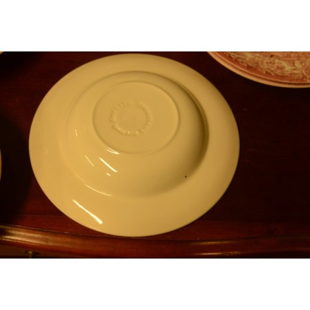 (n-4001/3) English Ironstone punased supi-pastataldrikud, 5tk