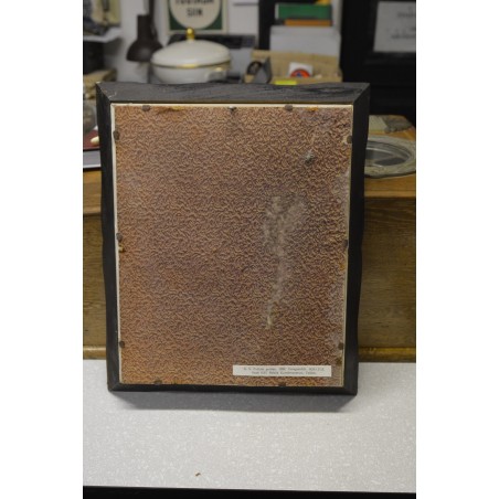 (P-732) Viiralt, trükirepro A.S Puškini portree. Vasegravüür. 1928