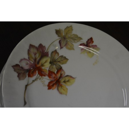 (n-4530/1) Bavaria J.Kronester, salatitaldrikud, 6tk