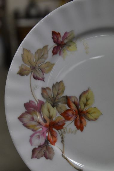 (n-4530/1) Bavaria J.Kronester, salatitaldrikud, 6tk