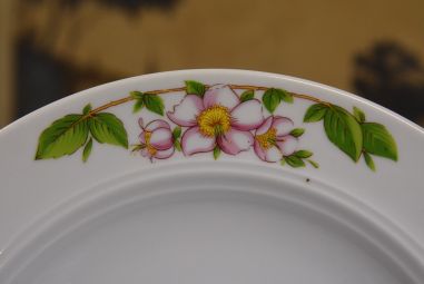 (n-4646/2) Bavaria Mitterteich, õunapuu õitega supi-pstataldrikud, 6tk