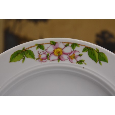 (n-4646/2) Bavaria Mitterteich, õunapuu õitega supi-pstataldrikud, 6tk