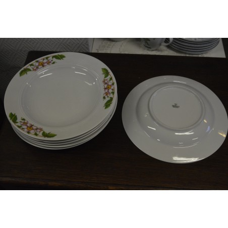 (n-4646/2) Bavaria Mitterteich, õunapuu õitega supi-pstataldrikud, 6tk