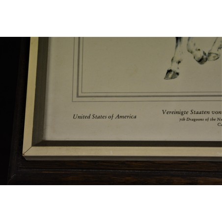 (n-4718) Raamitud militaarsed pildid, 2tk