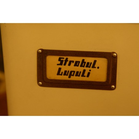 (n-3050/2) Vanad metallist apteegikarbid, 3tk