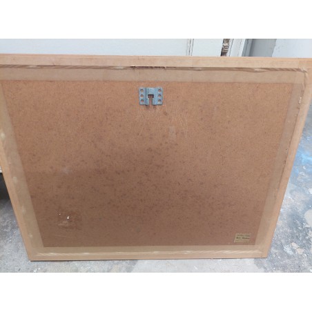 (n-4881) Raamitud maal, paadid rannal