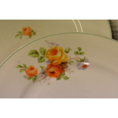 (n-4958/2) Roosilised praetaldrikud, 6tk