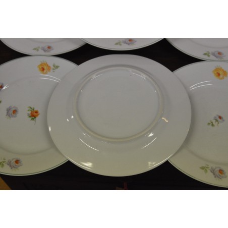 (n-4958/2) Roosilised praetaldrikud, 6tk