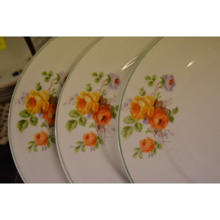 (n-4958/2) Roosilised praetaldrikud, 6tk