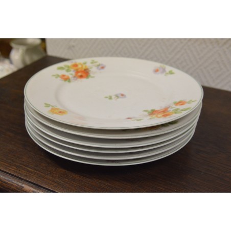 (n-4958/2) Roosilised praetaldrikud, 6tk