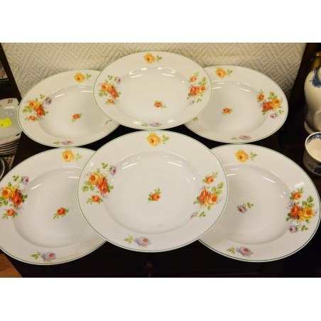 (n-4958/3) Roosilised supi-pastataldrikud, 6tk