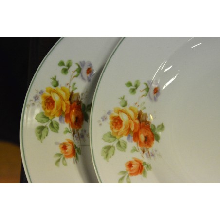 (n-4958/3) Roosilised supi-pastataldrikud, 6tk