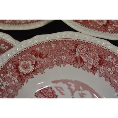 (n-5043) Adams English Scenic hobustega supi-pastataldrikud, 6tk