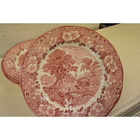 (n-5048/1) Unicorn Tableware Woodland, suured praetaldrikud, 4tk