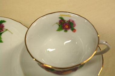 (n-5061) Krüsanteemidega huvitav kollektsioontass-taldrik "September"