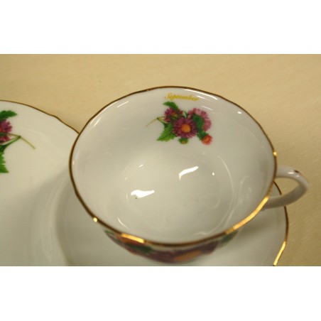 (n-5061) Krüsanteemidega huvitav kollektsioontass-taldrik "September"