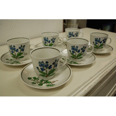 (n-5079/2) Bavaria Marktleuthen Winterling taimedega kohvitassid-taldrikud, 6tk (n-5079/2) Bavaria Marktleuthen Winterling taimedega kohvitassid-taldrikud, 6tk