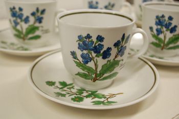 (n-5079/2) Bavaria Marktleuthen Winterling taimedega kohvitassid-taldrikud, 6tk 2