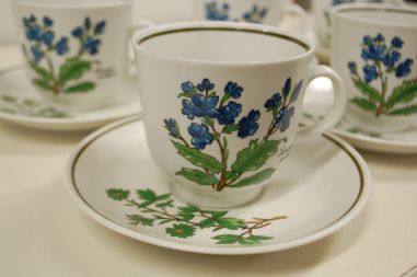 (n-5079/2) Bavaria Marktleuthen Winterling taimedega kohvitassid-taldrikud, 6tk