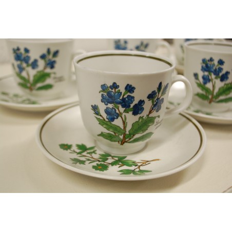 (n-5079/2) Bavaria Marktleuthen Winterling taimedega kohvitassid-taldrikud, 6tk (n-5079/2) Bavaria Marktleuthen Winterling taimedega kohvitassid-taldrikud, 6tk