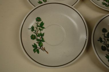 (n-5079/2) Bavaria Marktleuthen Winterling taimedega kohvitassid-taldrikud, 6tk