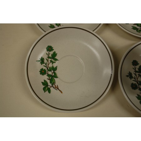 (n-5079/2) Bavaria Marktleuthen Winterling taimedega kohvitassid-taldrikud, 6tk (n-5079/2) Bavaria Marktleuthen Winterling taimedega kohvitassid-taldrikud, 6tk