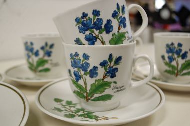 (n-5079/2) Bavaria Marktleuthen Winterling taimedega kohvitassid-taldrikud, 6tk