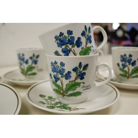 (n-5079/2) Bavaria Marktleuthen Winterling taimedega kohvitassid-taldrikud, 6tk (n-5079/2) Bavaria Marktleuthen Winterling taimedega kohvitassid-taldrikud, 6tk