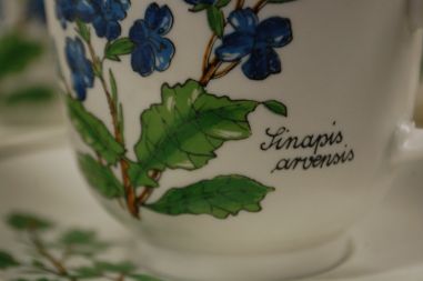 (n-5079/2) Bavaria Marktleuthen Winterling taimedega kohvitassid-taldrikud, 6tk