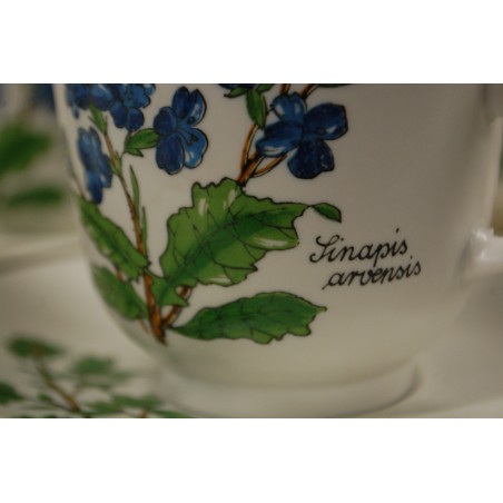 (n-5079/2) Bavaria Marktleuthen Winterling taimedega kohvitassid-taldrikud, 6tk (n-5079/2) Bavaria Marktleuthen Winterling taimedega kohvitassid-taldrikud, 6tk