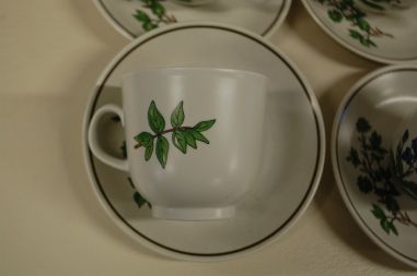 (n-5079/2) Bavaria Marktleuthen Winterling taimedega kohvitassid-taldrikud, 6tk