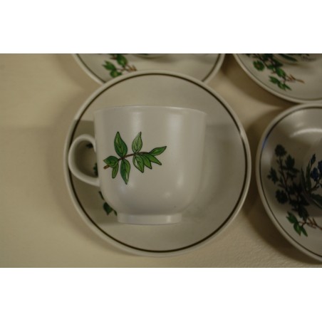 (n-5079/2) Bavaria Marktleuthen Winterling taimedega kohvitassid-taldrikud, 6tk (n-5079/2) Bavaria Marktleuthen Winterling taimedega kohvitassid-taldrikud, 6tk