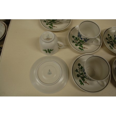 (n-5079/2) Bavaria Marktleuthen Winterling taimedega kohvitassid-taldrikud, 6tk (n-5079/2) Bavaria Marktleuthen Winterling taimedega kohvitassid-taldrikud, 6tk