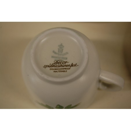 (n-5079/2) Bavaria Marktleuthen Winterling taimedega kohvitassid-taldrikud, 6tk (n-5079/2) Bavaria Marktleuthen Winterling taimedega kohvitassid-taldrikud, 6tk