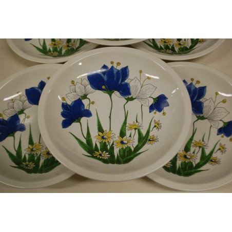 (n-5184/3)  Pontesa, lillelised pasta-risottotaldrikud, 6tk