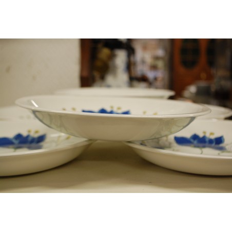 (n-5184/3)  Pontesa, lillelised pasta-risottotaldrikud, 6tk