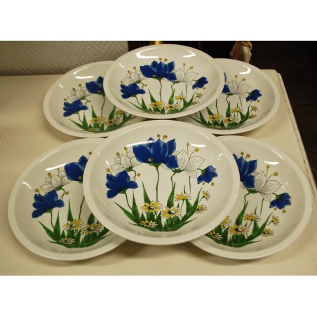 (n-5184/3)  Pontesa, lillelised pasta-risottotaldrikud, 6tk