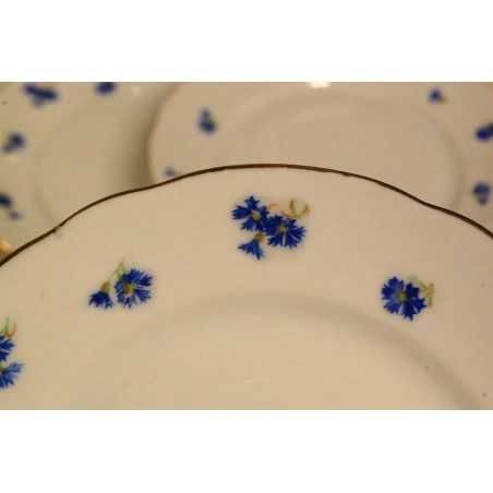 (n-5192/14)  Bavaria  rukkililledega salatitaldrikud, 6tk